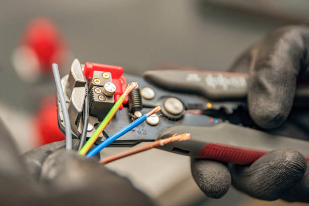 Best Local Electrician Companies  in Pelion, SC